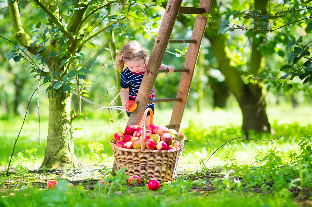 The Benefits of Eating Seasonally